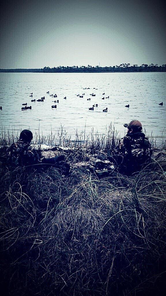 FloridaDuckmen's tweet photo. Afternoon hunt on the bay http://t.co/tVBKpOO7M4