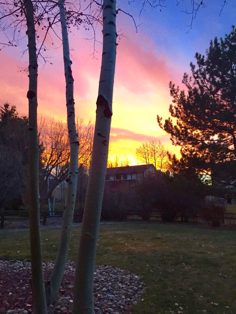 SeanMaley's tweet image. Hey @snakestakes #alien clouds orange and blue!