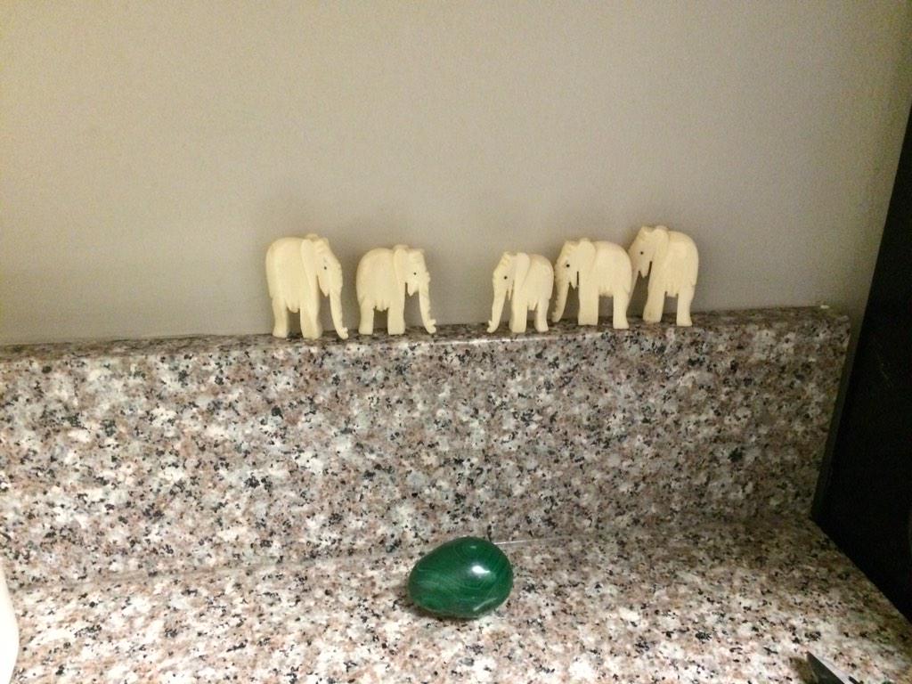 hannannahrexy's tweet photo. I found these little guys in my silverware today. Brought back from Africa by my Aunt. #kitchenfriends http://t.co/gd9UloATYo