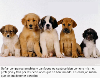 ¿Que Soñaste? tweet media