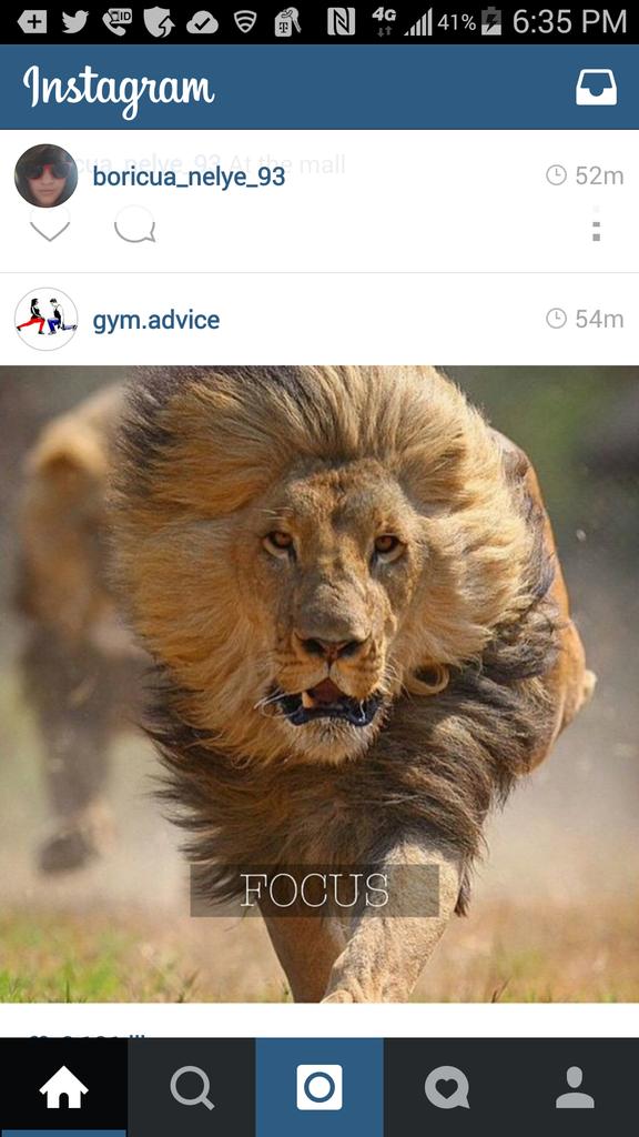MsBarretoJ's tweet photo. I'm going into 2015 like🐯,#determined, #fearless #Stopandhearmyroar! http://t.co/NE0KLJjf3G