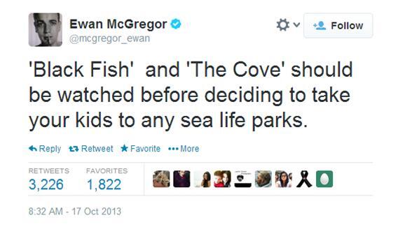 clicks n' whistles tweet media