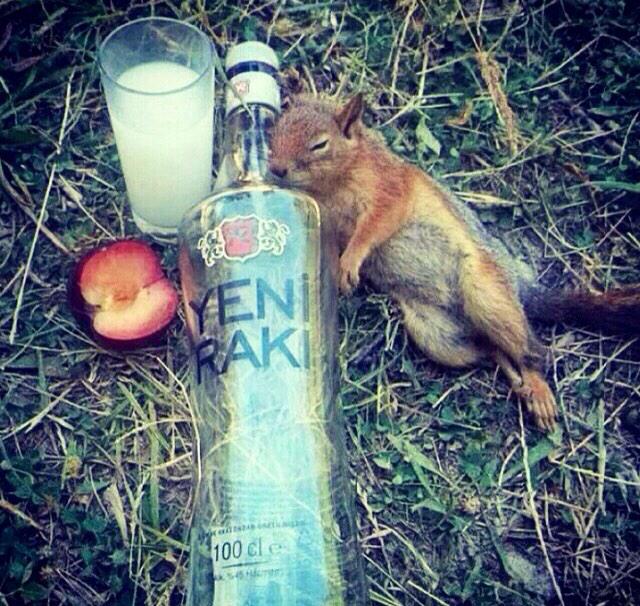 beratozyurt's tweet photo. @ahmetcansahiiin http://t.co/gWOOBiQNhx