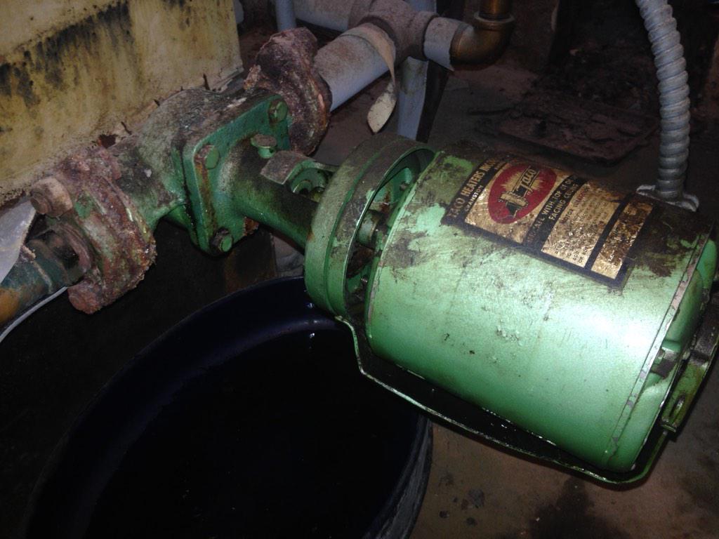 Maintain those old circulators. Have them serviced &amp; oiled, otherwise very expensive to replace.