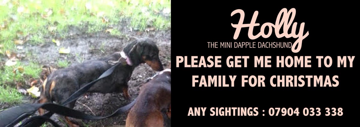 Get_Holly_Home's tweet photo. Please retweet and get me home to my family. http://t.co/M9zQH8FfXN