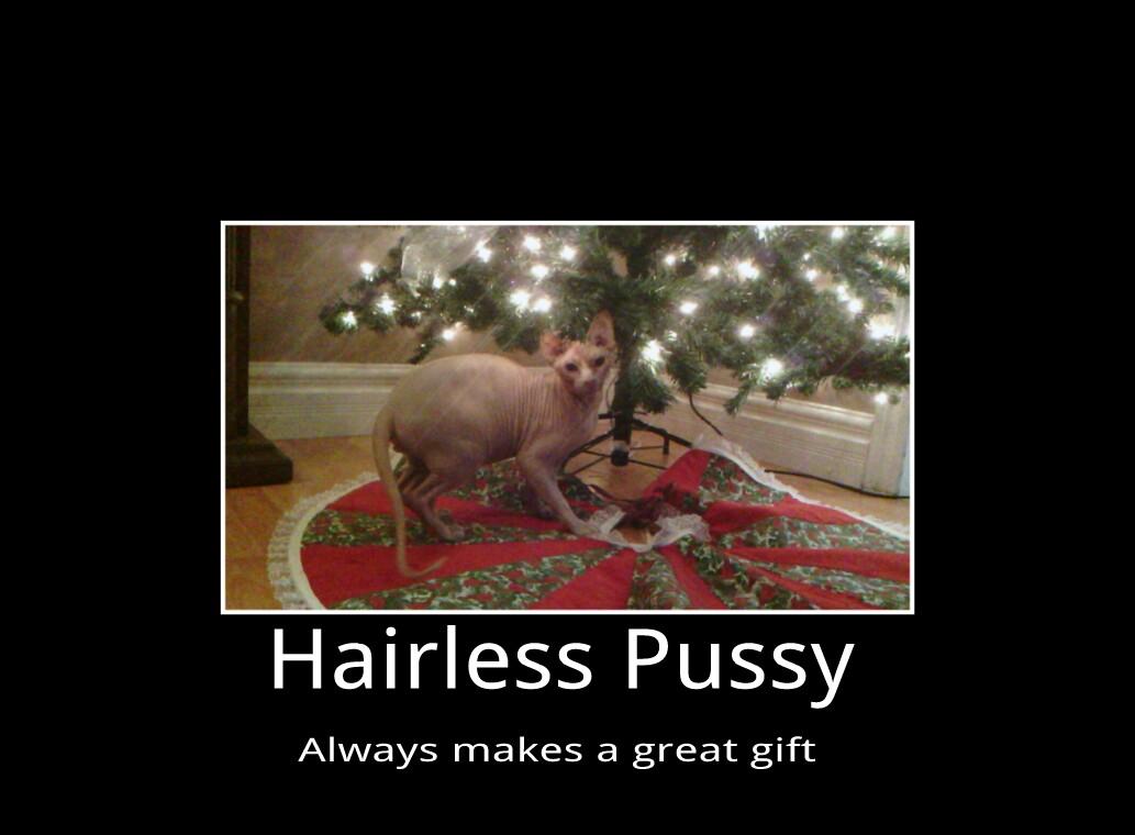 CueheadRussell's tweet photo. @EllisMate @possiblytully @RadioFaction this is my cat he has a gift idea!!! http://t.co/gXkpyBosPS