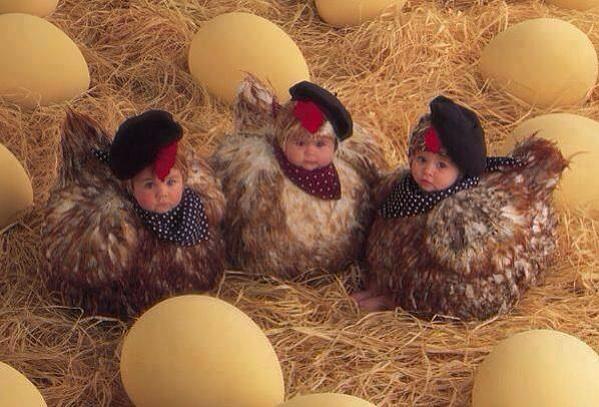 Ангаахай хеерхен vрсийнхээ хамт амралтын едрее ая тухтай сайхан енгерvvлээрэй.