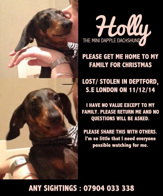 Get_Holly_Home's tweet photo. I'm so little that I need everyone possible watching for me. Get Holly Home. http://t.co/1KShTNlZlv