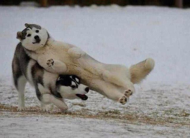 jiyunaJP's tweet photo. "This is what a cross-up jMK looks like irl." - RT “@you0dool: http://t.co/eOfnJP06b6”
