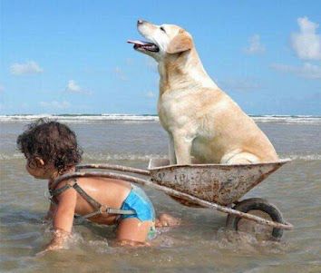 Elsayd Abdelbary (@a01018771462) on Twitter photo 