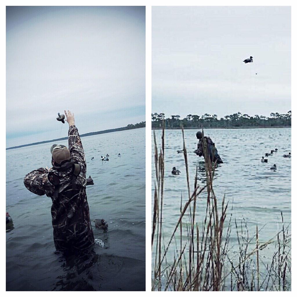 FloridaDuckmen's tweet photo. Gettin all 80 decoys out for diver hunts can be a pain! http://t.co/KDHt8p0h1U