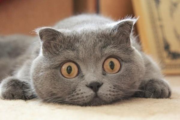 Beatiful!💕<a href="/LuisaM56_/">mercedes.m</a> <a href="/2Barbar_a/">肉棒</a> @issacbenshlomo <a href="/circa13579/">Paul Shugarman</a> @JoyCollinsMusic <a href="/AlCaselli/">Al Caselli HW</a> @stagewritemusic <a href="/yuosef_z/">✨ 👑  ✨</a>