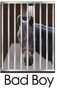 zdkutilek's tweet photo. @mrbobodenkirk let fellow #lawyer and #horselaw expert @braverygravy assist you in #law #horsepro http://t.co/EwqvgIMZZR