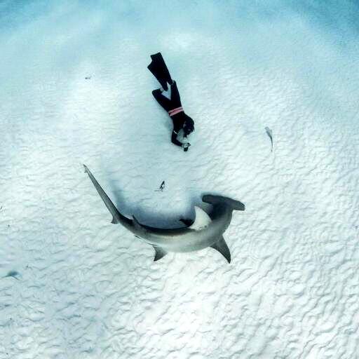 HHammerheaddd's tweet photo. Quit playing BRUH! @NicktasticYT http://t.co/fBQGLFSkAj