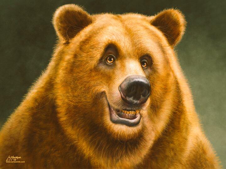 bear_angle tweet picture
