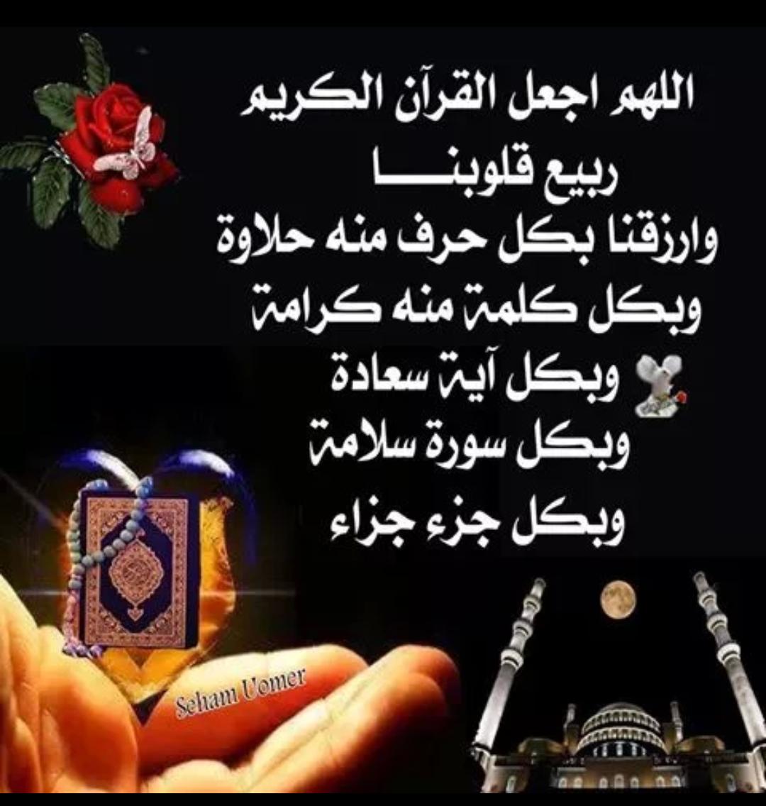 رهف (@msajed00006) on Twitter photo 