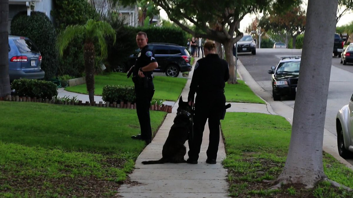 Philmflash's tweet image. #HawthornePD #Policedog #Burglary