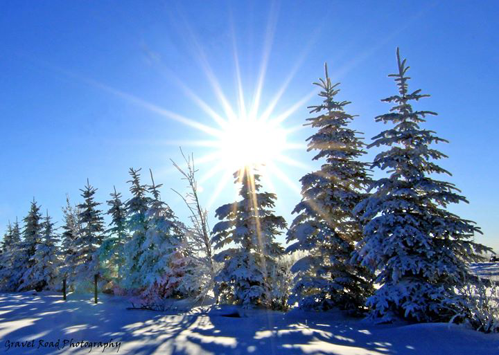 gravelroad_AB's tweet photo. .@CBCCalgary #CBCAlberta Christmas Sun! Taken east of Calgary near Delacour http://t.co/xyk12KRDew