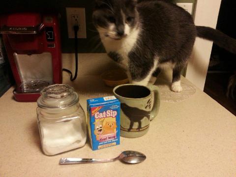 Pawpawrazza's tweet photo. From the fiance: "You know you're dating an RVT when her friend has no Soy for coffee, but offers you Cat-Sip" :D http://t.co/zuC3opuWY7