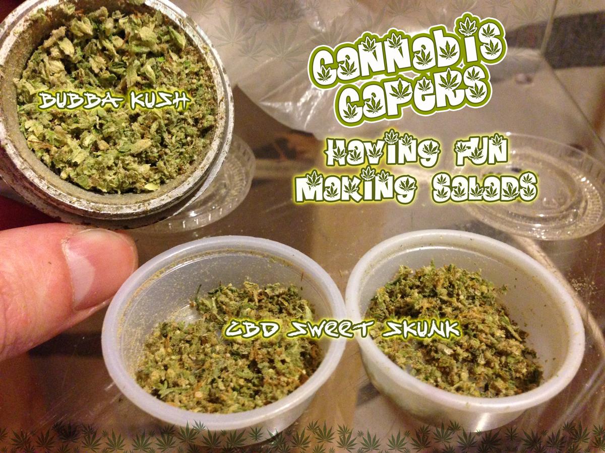 CannabisCapers's tweet photo. #MakingSalad with some beautiful #BubbaKush and #CBD #SweetSkunk. I love experimenting... Fav if you do too :) http://t.co/UyKR1bqzoM