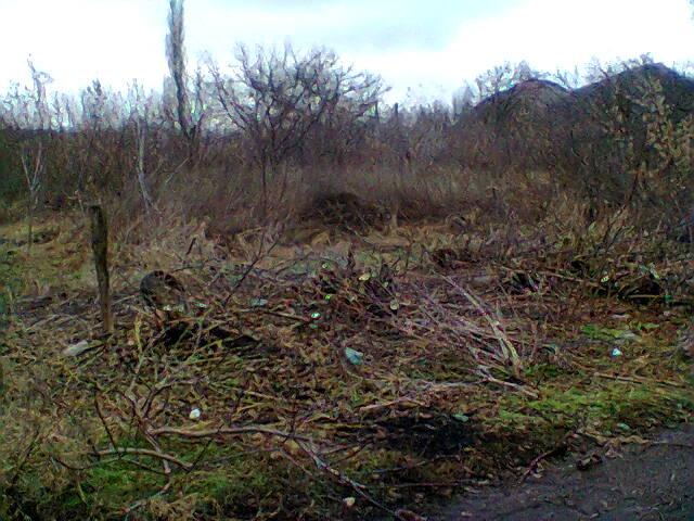 Иван Туркенич (@Walkandlooks) | Twitter