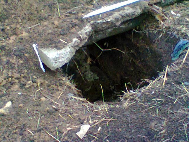 Иван Туркенич (@Walkandlooks) | Twitter