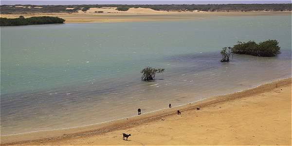 ELTIEMPO's tweet photo. Bahía Portete (Guajira) ya es Parque Nacional Natural http://t.co/Vmg2rmwuQb http://t.co/KyaTgQcU0k