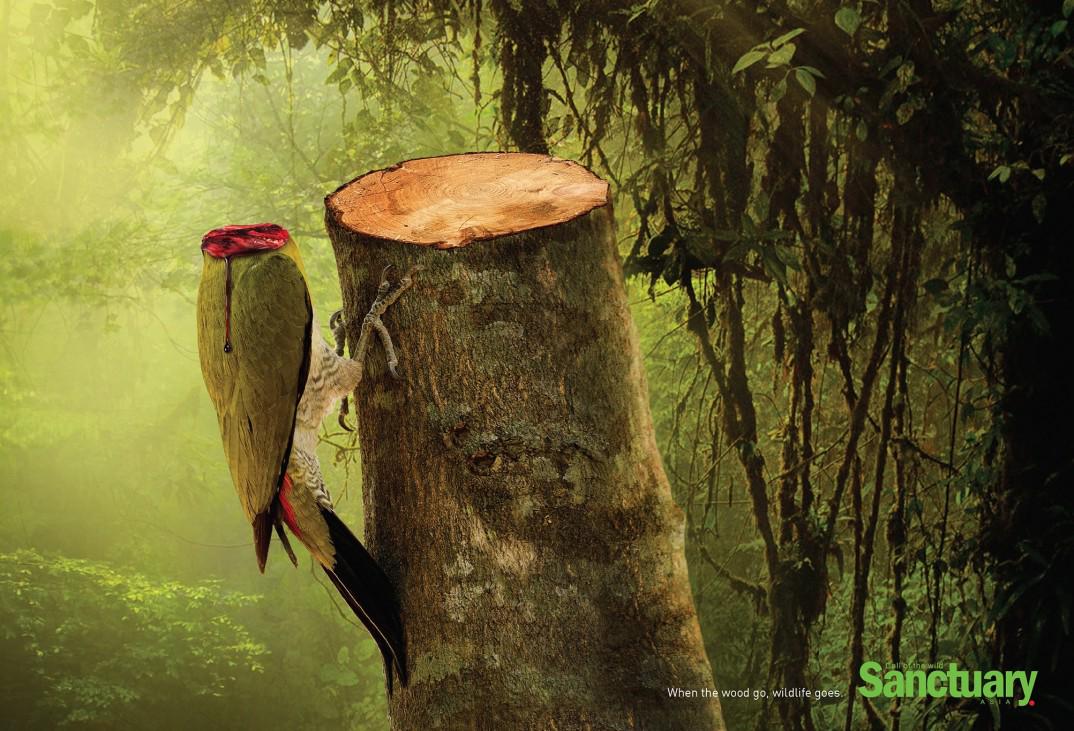allpeim's tweet photo. Cuando los árboles desaparecen, los animales desaparecen: Esta impactante campaña publicita... http://t.co/gnZHF1X3pB http://t.co/IX3K4KYsY8
