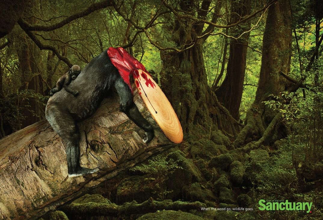 allpeim's tweet photo. Cuando los árboles desaparecen, los animales desaparecen: Esta impactante campaña publicita... http://t.co/gnZHF1X3pB http://t.co/IX3K4KYsY8
