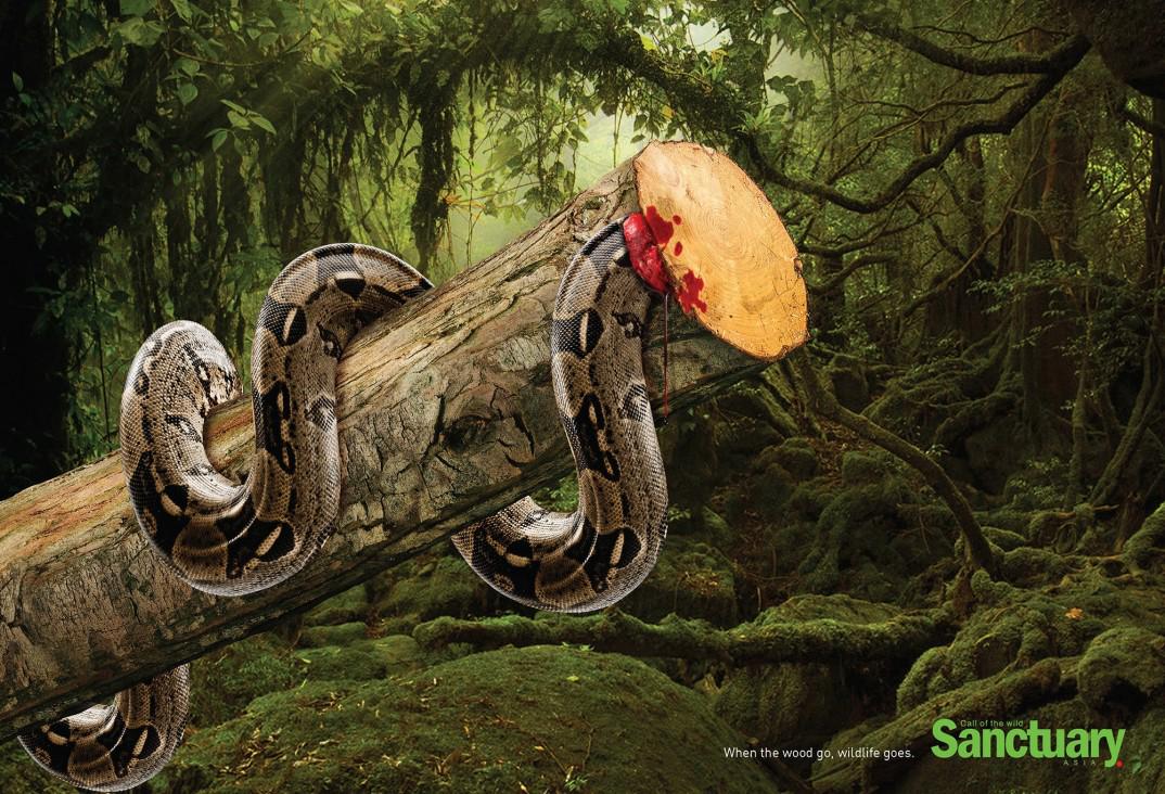allpeim's tweet photo. Cuando los árboles desaparecen, los animales desaparecen: Esta impactante campaña publicita... http://t.co/gnZHF1X3pB http://t.co/IX3K4KYsY8