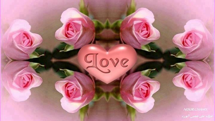 axa555k1's tweet photo. @AmeraSalah501 http://t.co/ItSBk6sQ6l