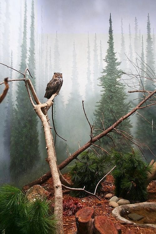 Irfanibas's tweet photo. @PodettiLaura @PeaceAnd___Love @guimonero @soniajcas @Seybaldalice @Vero_Gon @mariovp99 @MI24H @nshaikh6677 http://t.co/MlUlEeUT32