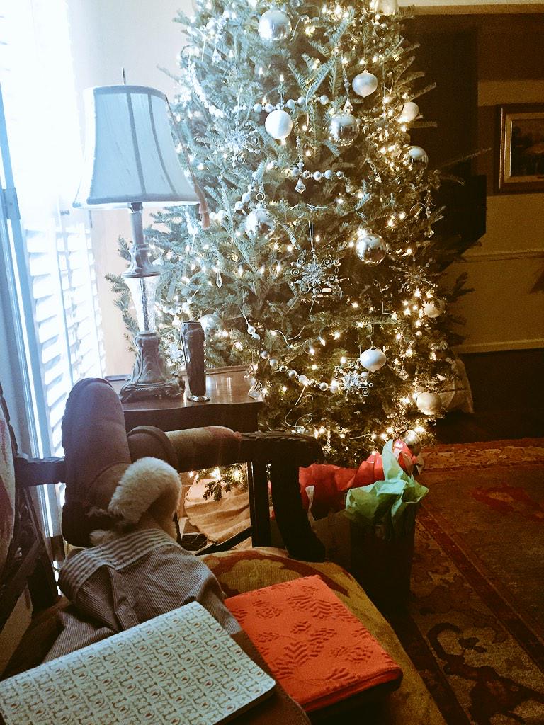 beks324's tweet photo. Perfect way to start a Sunday morning 😍🎄 http://t.co/TJGJKP0cSK