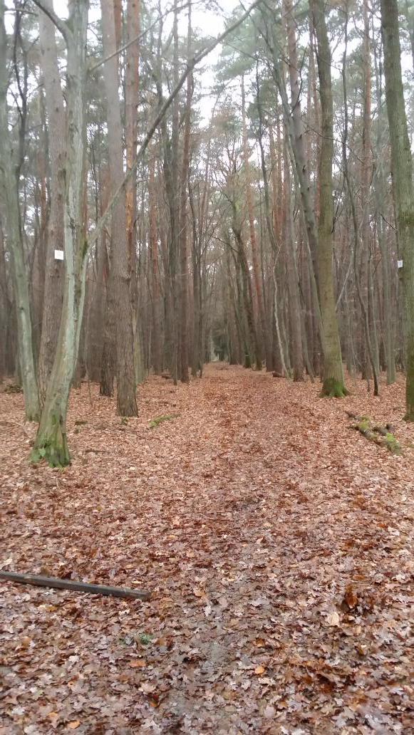 pinturarueda's tweet photo. @JuanfraEscudero te paso unas fotos de un bonito lugar y gracias por seguirnos os deseamos felices fiestas http://t.co/6KRWBd6yp0