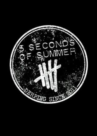 BlogAbout5SOS's tweet image. 