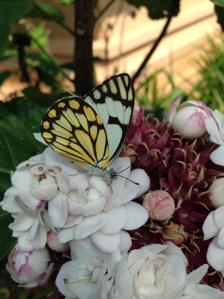 TriciaSedgwick's tweet image. "Faith is to believe what we do not see; and the reward of this faith is to see what we believe."   - Saint Augustine