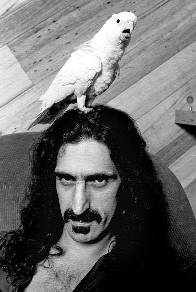 Happy birthday Frank Zappa. 