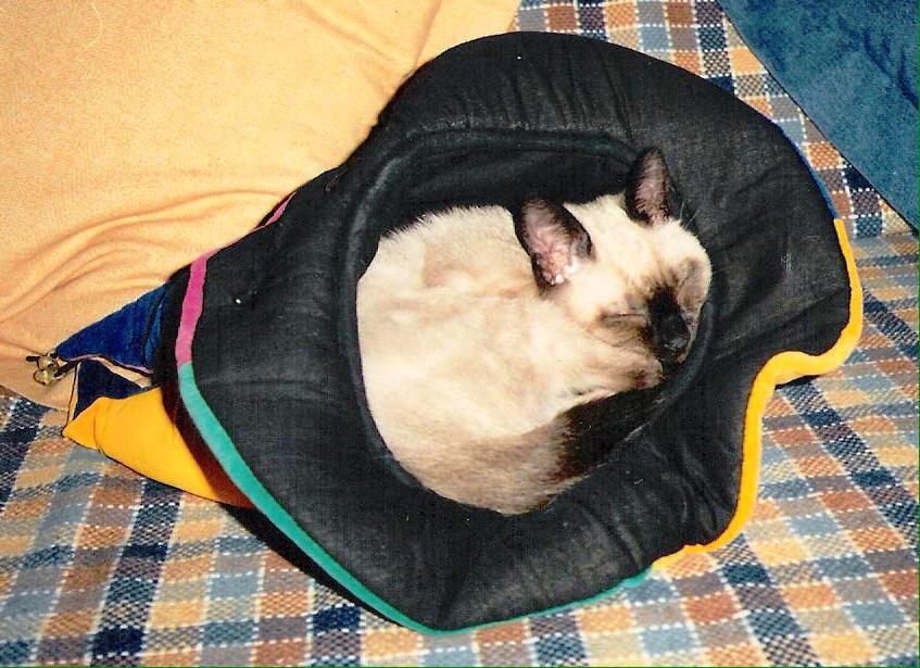 Lucas_Katze's tweet photo. Yo en mis años mozos. http://t.co/tzC2KPSLVT