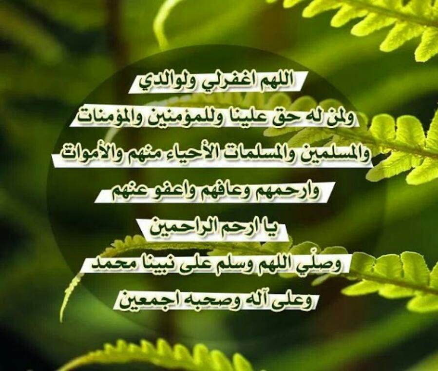 shikhali788's tweet photo. ---
--- 
 تم الإرسال بواسطة واتساب http://t.co/dPmBIlyFbS