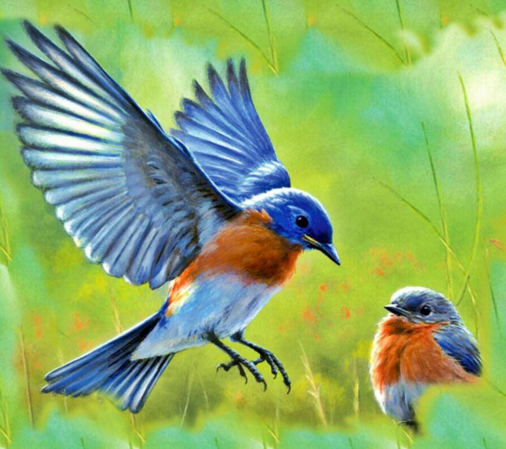 🌹

مرات آحس إنك : 
تبيـني .. و مرآت ،
آضحك على إحساسي معاك وآعافه

✒#مقصودة