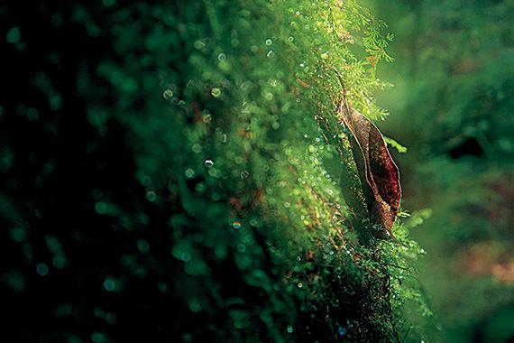 keindahan alam indonesia 👍