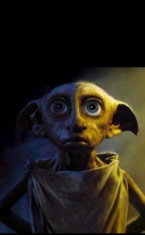 TayWeems's tweet photo. Dobby?? http://t.co/UhxpO0so48