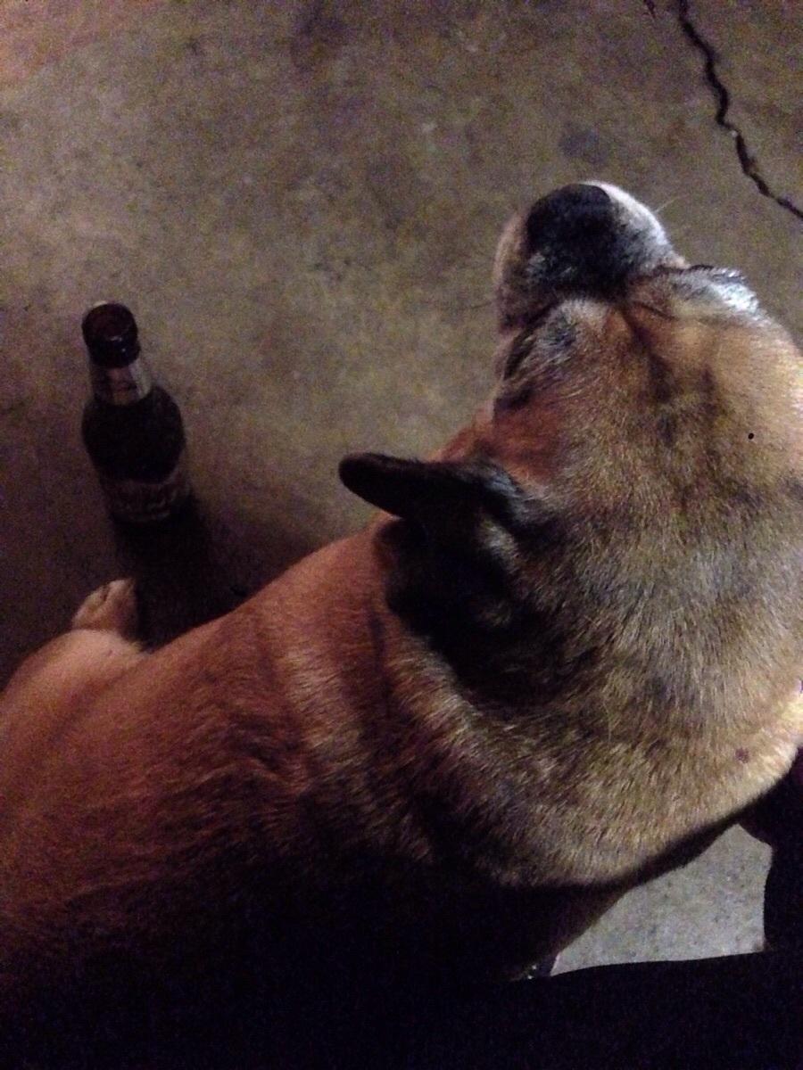 TaylorSwiftkey's tweet image. True heroes of parties, where you don’t know anyone.