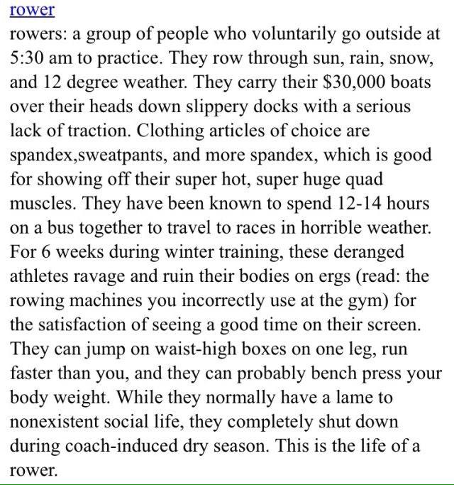 Tall Awkward Rower tweet media