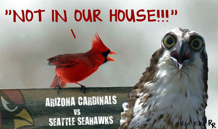 Big_Red_Rage's tweet photo. @AZSports @nflnetwork  @NBCSports @AZCardinals fans around the world!  YOU WILL BE HEARD!!  #FinishStrongAZ #SEAvsAZ http://t.co/2tzUNq2sKy