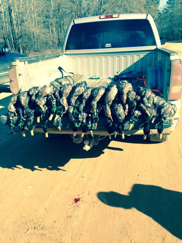 DWatt7's tweet photo. Limits stacked 8 tall #DuckDemolition http://t.co/7c4AnRdAvP