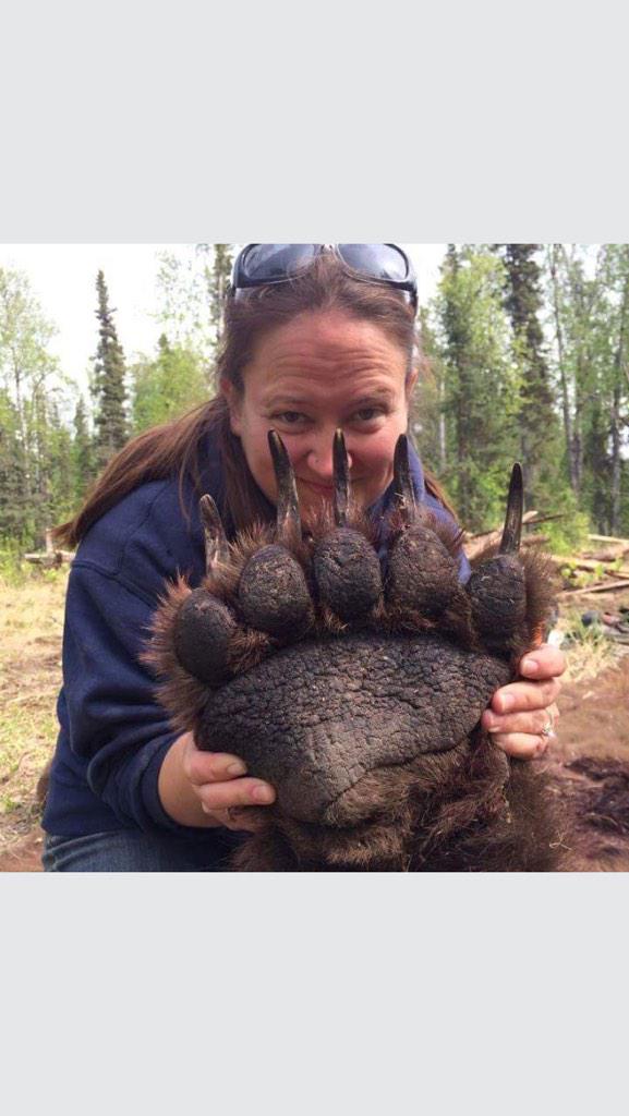 BungusofFungus's tweet image. @joerogan Look at the size of this fucking bear's paw.