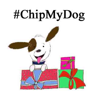 DefraGovUK's tweet photo. Is your #dog #microchipped? Watch our festive video about Chip the dog #chipmydog: http://t.co/O5IsffA0PC http://t.co/jHkBl7gMZN