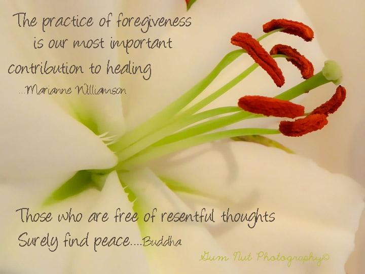 RamblingsClaury's tweet photo. Forgiveness is how God spells healing #healing #spiritual #forgiveness http://t.co/MgQa8Vj2KY