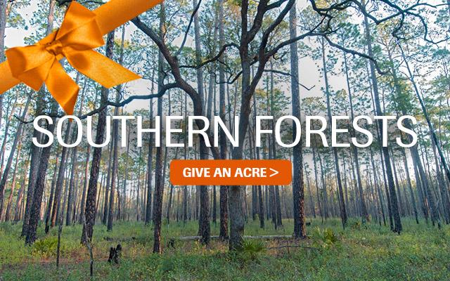 The Nature Conservancy tweet media